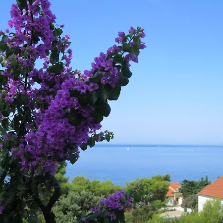 Taja * Primošten