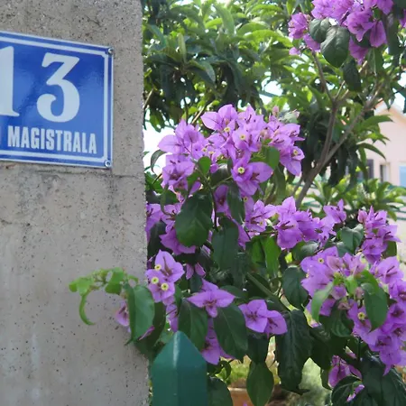 Taja *